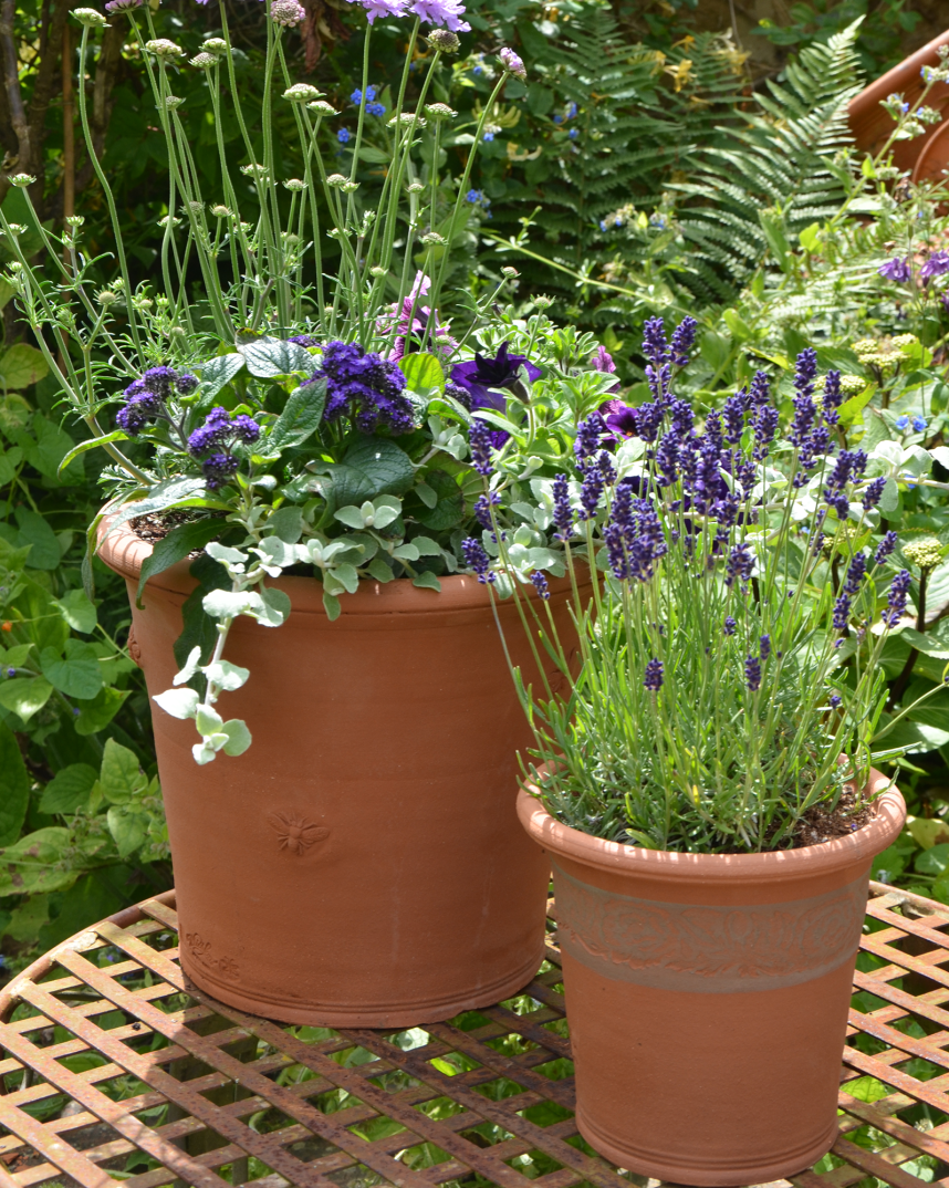 Whichford Flowerpot Ranges | Whichford Pottery